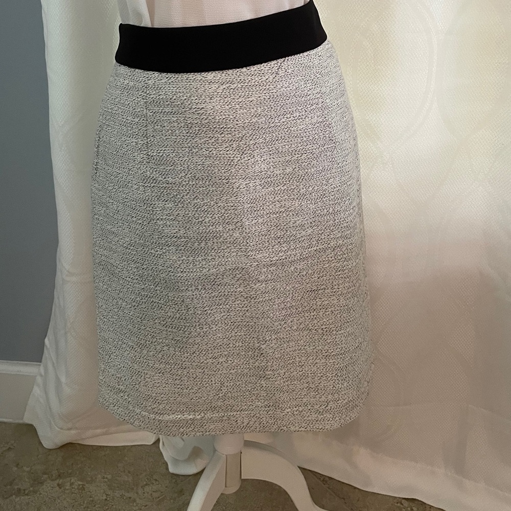 Banana Republic Pencil Skirt.